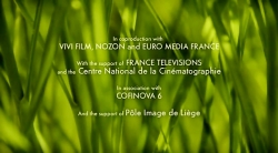 خیلی خیلی کوچک (2) (اسکی حلزونی)